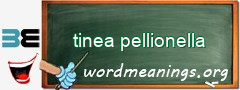 WordMeaning blackboard for tinea pellionella
